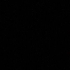 Meet your Posher, Owen